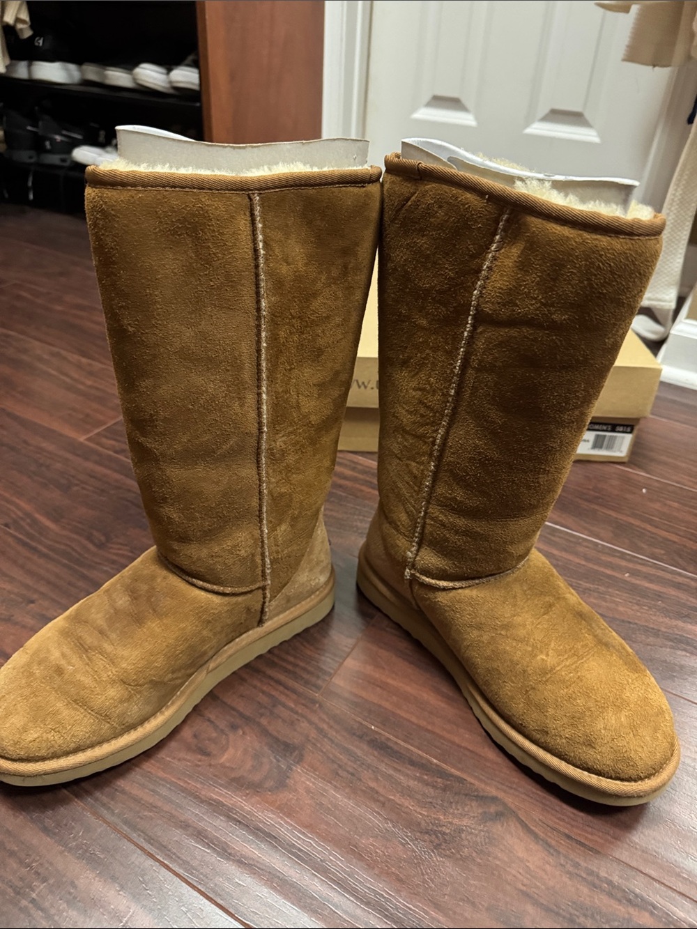 UGG Chestnut Tall Suede Shearling Boots - Picture 6 of 8